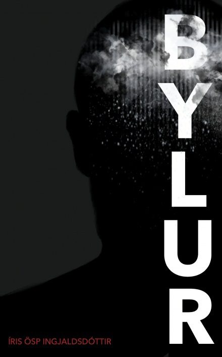 Ný bók júní - Bylur