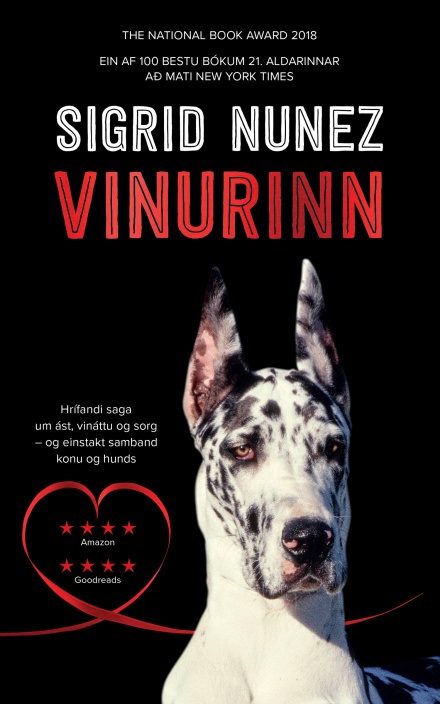 Ný bók júní 2025 - vinurinn