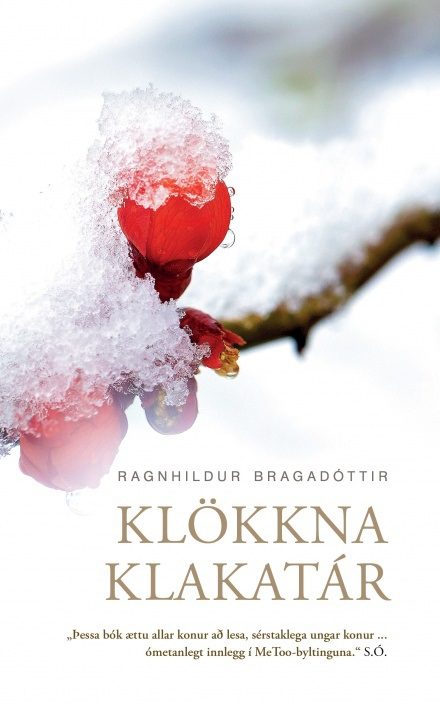 Ný bók júní 2025 - klökkna klakatár