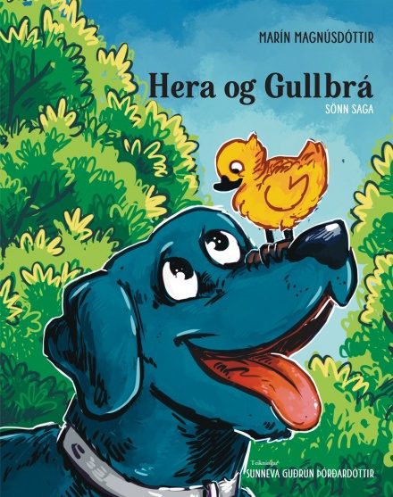 Nýkomið í október 2025 - hera og gullbrá