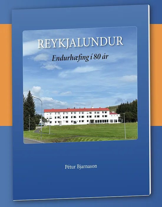 Nýkomið í desember 2025 - reykjalundur