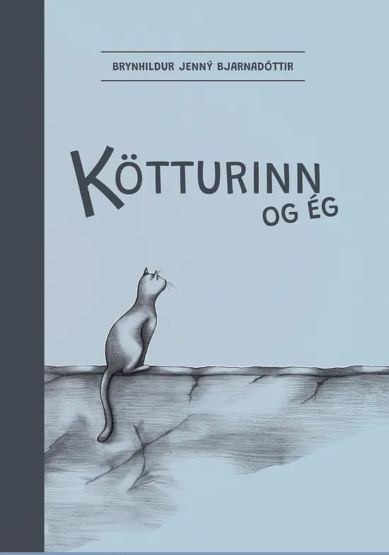 Nýkomið í desember 2025 - kötturinn og ég