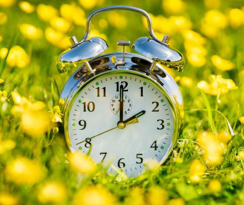 sumardagurinn fyrsti