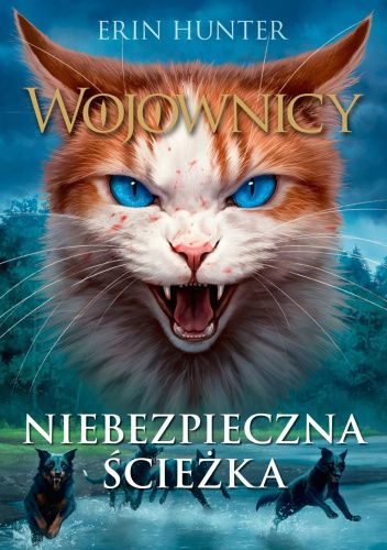 Nýkomið í ágúst 2026 - Niebezpieczna ścieżka